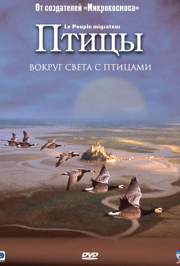 Птицы фильм (2001)